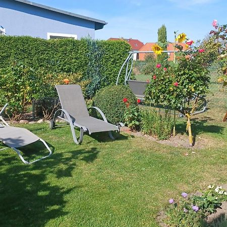 Ferienwohnung Leitzsch Wustrow  Dış mekan fotoğraf